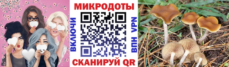 Галлюциногенные грибы мухоморы  как найти закладки  Советская Гавань 